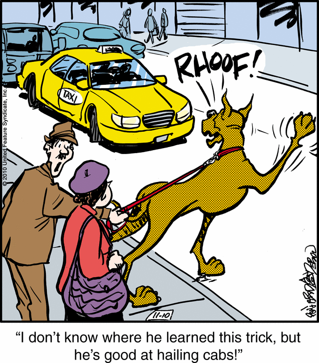 marmaduke